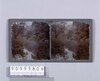 小石川後楽園(二)(No.220)/Koishikawa Korakuen Gardens (2) (No. 220) image