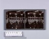 相撲横綱取組(No.224)/Sumo Wrestling Yokozuna Match (No. 224) image