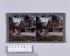 上野東照宮(No.233)/Ueno Toshogu Shrine (No. 233) image
