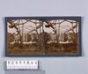 [モノレール](西欧風景)(No.272)/Scenes of Europe: [Monorail] (No. 272) image