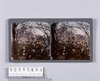 向島の花見(No.410)/Cherry Blossom Viewing at Mukojima image