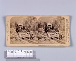 外国製ステレオ写真 “I Helped to Build Pike's Peak Railroad Myself,Colorado,U.S.A. / “I Helped to Build Pike's Peak Railroad Myself",Colorado,U.S.A. image