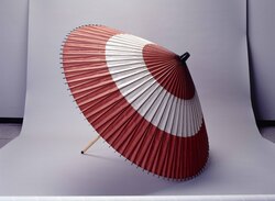 蛇の目傘(松葉) / Janome Umbrella (Pine Needles) image
