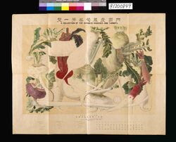 内国産蘿蔔蕪菁一覧 / Domestically Produced Radish List image