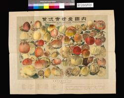内国産柿実一覧 / Domestically Produced Persimmon List image