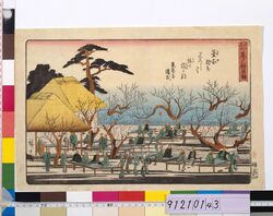 江戸名所 亀戸梅屋舗 / Famous Views of Edo: The Kameido Plum Garden image