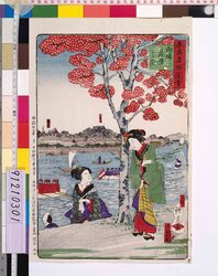 東京名所図絵 向嶋花盛之景 / Famous Views of Tokyo: Cherry Blossoms in Full Bloom at Mukojima image