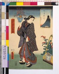 江戸名所百人美女 かやば町 / One Hundred Beautiful Women at Famous Places in Edo : Kayabacho image