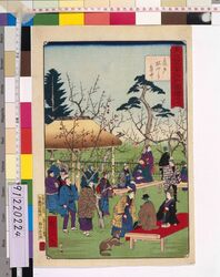 東京開華名所図絵之内 亀戸梅やしき庭中 / Famous Views of Modern Tokyo: In the Kameido Plum Garden image