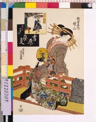 吉原要事 廓の四季忘 五月端午軒のあやめ 松葉屋内増山 / Yoshiwara Essentials: Masuyama, a Courtesan at the Matsubaya image