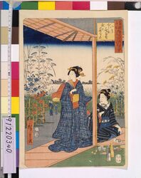 東都名所年中行事 八月 向じま花屋敷秋の花ぞの / Famous Views of Annual Events in the Eastern Capital: Eighth Month Fireworks at the Mukojima Garden image