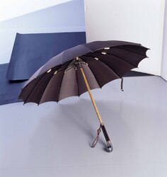 パラソル / Parasol image