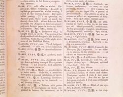和英語林集成 / Waei Gorin Shūsei  (Japanese-English and English-Japanese Dictionary) image