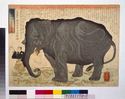 西域舶来大象之写真 / True Image of Elephant from Western Regions image