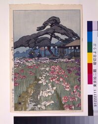 東京拾二題 堀切志ようぶ / Twelve Subjects of Tokyo : Iris Garden in Horikiri image