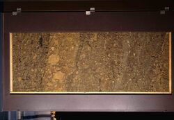 安政江戸地震噴砂跡 image