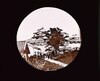 名所 格山/Famous Views: Kakuzan (Tsuyama Castle) image