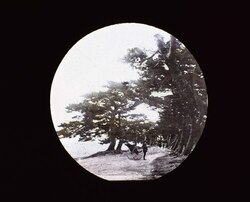 名所 播州 磨子 / Famous Views: Harima image