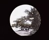 名所 播州 磨子/Famous Views: Harima image