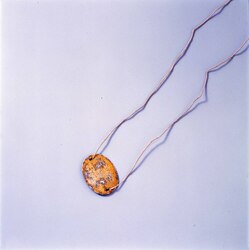 認識票 / Identification Tag image