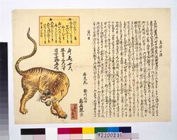虎の見世物 辻ビラ / Tiger Show, Flyer image