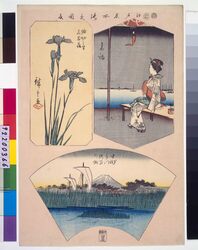 江戸名所張交図会 高輪、堀切之里花菖蒲、中洲みつ俣別の渕 / Famous Edo Sights: Takanawa Teahouse, Iris at Hirokoji, Nakasu and Matsubaya image