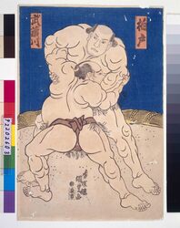 武蔵川・柏戸・取組の図 / Sumo: Musashigawa Wrestles Kashiwado image