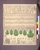 養蚕図解の十/Vol. 10 of “Illustrated Text Book of the Sericulture” image