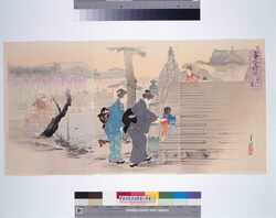 美人名所合 亀戸乃藤 / Famous Views and Beautiful Women: The Wisteria in Kameido image