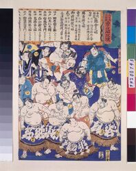 大日本大相撲関取勇力鏡 / The Brave Sekitori-rank Sumo Wrestlers image
