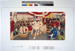 御浜延遼館於テ天覧相撲之図 / The Emperor Viewing Sumo at the Official Reception Hall in the Hama Detached Palace image