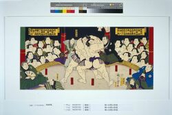 梅ヶ谷楯山取組 / The Sumo Bout between Umegatani and Tateyama image