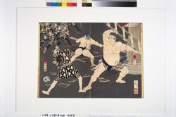 神明相撲闘争之図 / The Sumo Tournament at Shimei Shrine image