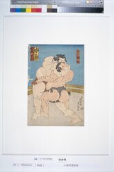 小柳荒馬取組 / The Sumo Bout between Koyanagi and Arauma image