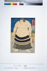 八代横綱 不知火光右エ門 / Yokozuna Ⅷ, Shiranui Mitsuemon image