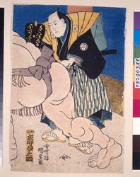 小柳荒馬取組図 / The Sumo Bout between Koyanagi and Arauma image