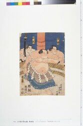 横綱稲妻土俵入之図 / Yokozuna, a Sumo Wrestler of the Highest Rank, Inazuma Entering the Ring image