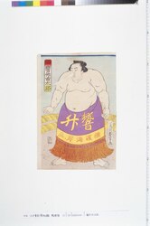 響升市太郎 / Hibikimasu Ichitarō image
