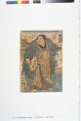 梅ヶ谷藤太郎 / Umegatani Totaro image