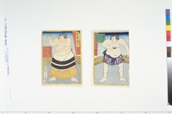 [相撲取組図] / [Sumo Wrestling] image