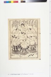 七力士(仮) / Seven Yokozuna image