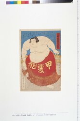 甲州甲斐龍関太郎 / Kairyu Sekitaro from Koshu image