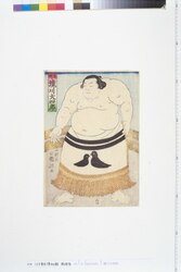 境川大四郎 / Sakaigawa Daishiro image