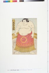 荒馬大五郎 / Arauma Daigoro image