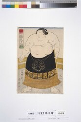 若嶋久三郎 / Wakashima Kyuzaburo image