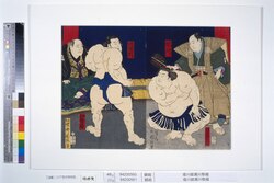 境川綾瀬川取組 / The Sumo Bout between Sakaigawa and Ayasegawa image