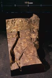 道路面地震地割れ跡 image