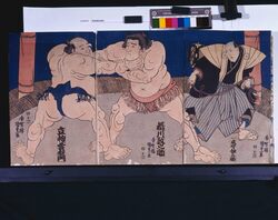 相撲錦絵画帖 / Album of Sumo Nishiki-e Collection image