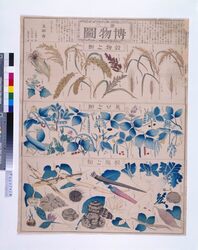 博物圖(第三) / Chart of Plants (No. 3) image