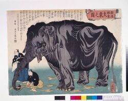 新渡舶来大象之図 / Portrayal of a Giant Elephant from Overseas image